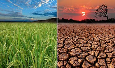 Global warming