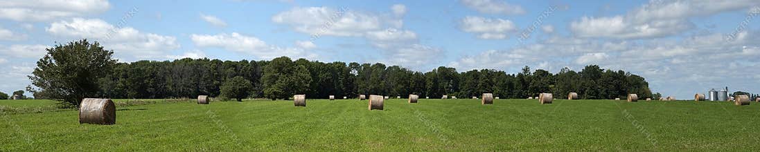Hay Field Bales Farm Land Panorama, Banner