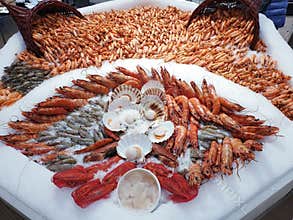 Sea food lobster diversity