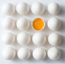 Odd Egg Out