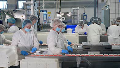 Factory workers in protective clothing packing food. Female employees are putting fish snacks away from the belt