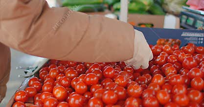 Close-up: a Woman in gloves buys tomatoes at the market in quarantine mode. Coronavirus buying vegetables and fruits