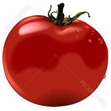 Tomato