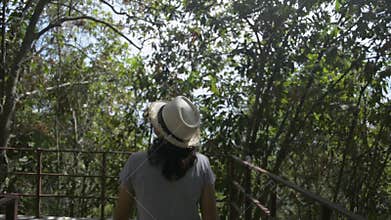 Rear view of female nature conservationist walking through tropical forest and watching beauty of evergreen trees in the rural.