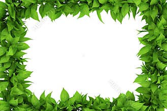 Floral frame