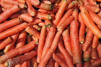 Pile of Carrots