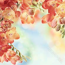 Spring freesia flowers on bokeh background