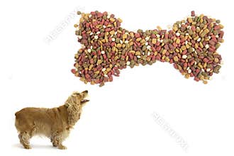 Dog food.