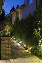 Backyard Garden Path at Night