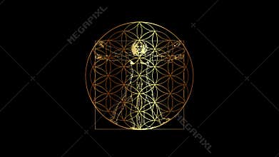 Flower of Life on Vitruvian Man by Leonardo Da Vinci - Sacred Geometry, video design