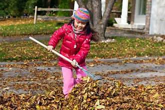 Girl Raking Leaves
