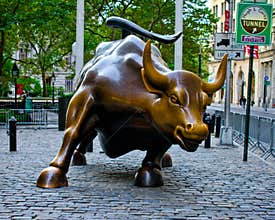 Wall Street Bull, Manhattan, NYC, NY