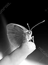 Man vs Nature: Kindness