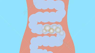 animation digestive system. intestines, gases, flatulence, bloating, bacteria