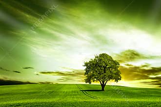Great nature at sunset
