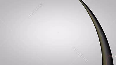 The hair becomes healthy. Nourishing and moisturizing hair.