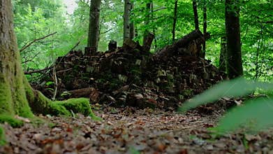 Creepy figure in a forest. Laying logs in the woods.