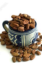 Cacao Cup
