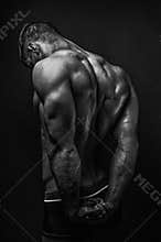 Fitness model
