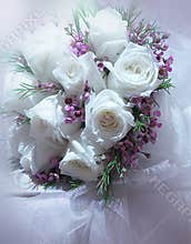 White roses
