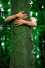 Tree hugger environmentalist