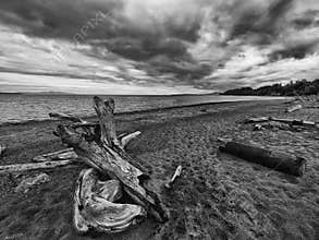 Island View Beach on Vancouver Island, BC, black and white