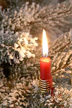 Candlelight on a christmas tree