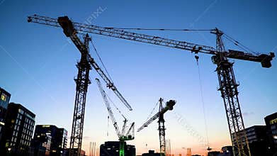 Multiple cranes rise above buildings against a dusk sky constructing something new