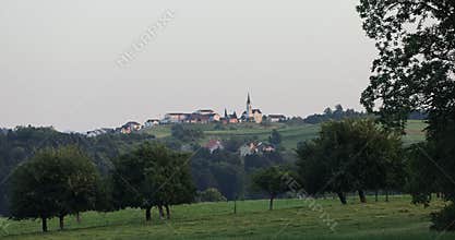 Wheat fields, green meadows, chamomile meadows in the Swiss Lowlands 8k ultra hd