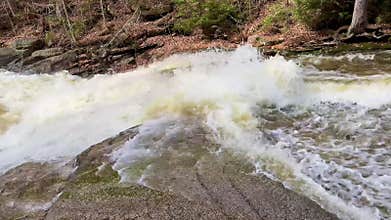 The Dynamic River Rapids Flowing Gracefully Over Rocks in a Picturesque Natural Landscape