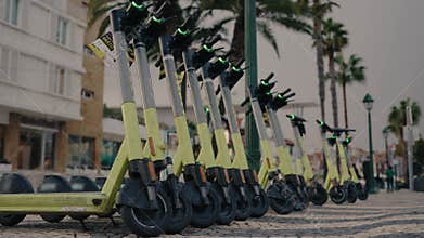 Row of Electric Scooters Parked on City Street with Palm Trees
