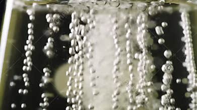 Mesmerizing Macro View of Effervescent Bubbles Rising in a Glass of Sparkling Champagne