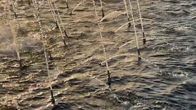 Water fountains creating arched streams over textured water surface in natural sunlight background
