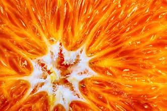 Closeup orange fruit slice food background texture. Healthy nutrition.