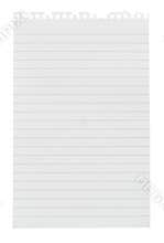 Torn sheet of note paper