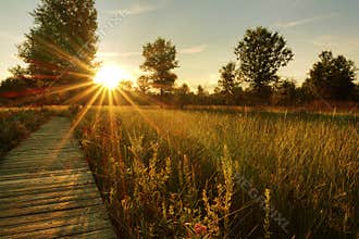 Prairie Sunset