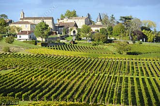 Wineyards of Saint Emilion, Bordeaux Vineyards