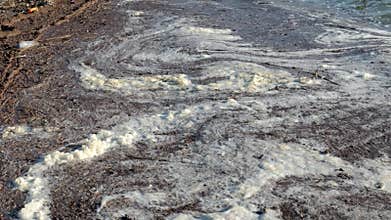 Foam accumulates along the beach, indicating pollution issues