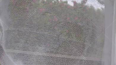 View of a blooming garden through a window with a curtain fluttering in the wind.
