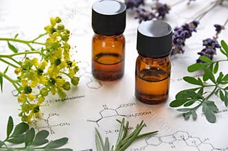 Essential oils and science