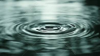 Water Drop Impact: Ripples, Reflection, and Abstract Fluidity