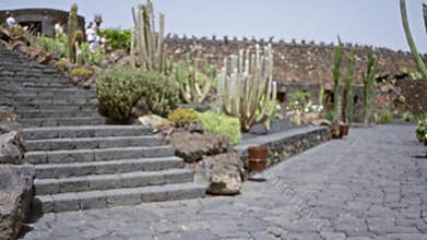 Blurred view of people in a lanzarote cactus garden with stone stairs, cacti, and a stone wall
