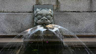 Dragon fountain head