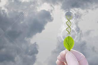 Genetic engineering and nature