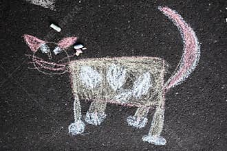 Chalk cat
