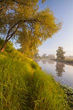 Beautiful summer water landscape in sunbeam