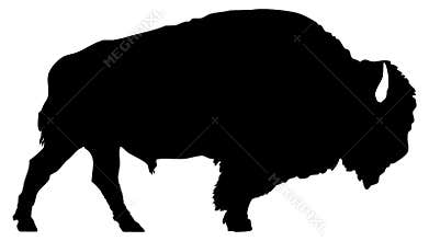 American bison silhouette