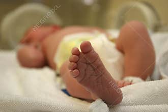 New born baby feet