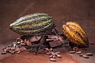 Raw Chocolate