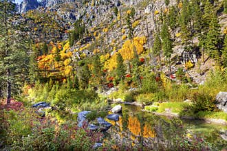 Fall Yellow Red Colors Reflection Wenatchee River Washington